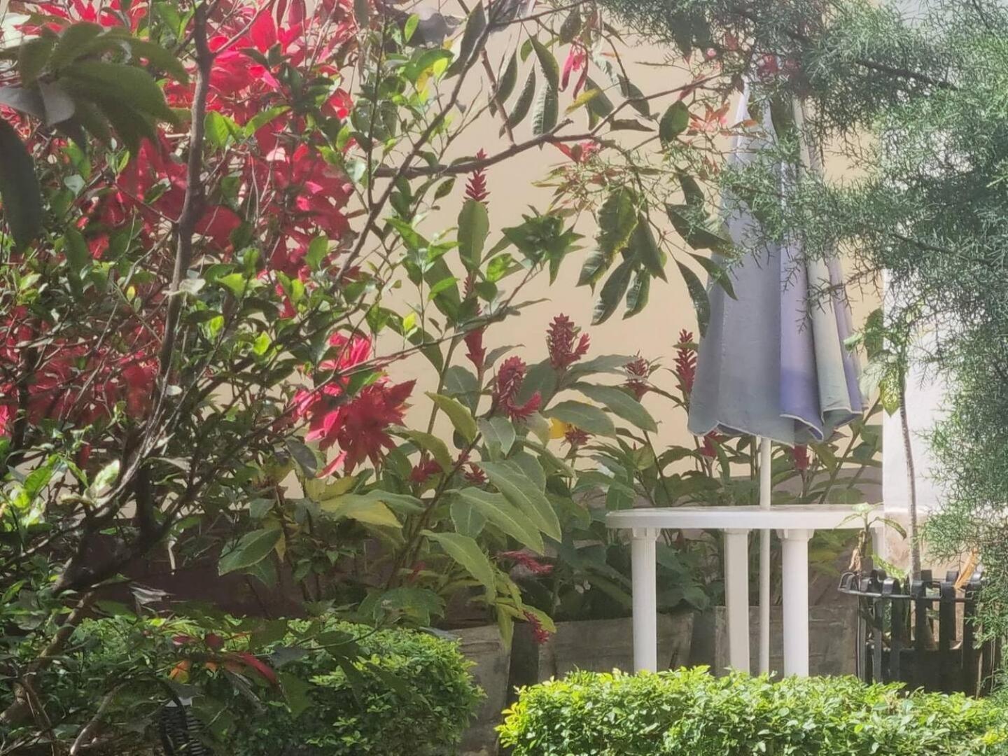 Tout Confort Avec Jardin Entree Bastos Яунде Экстерьер фото