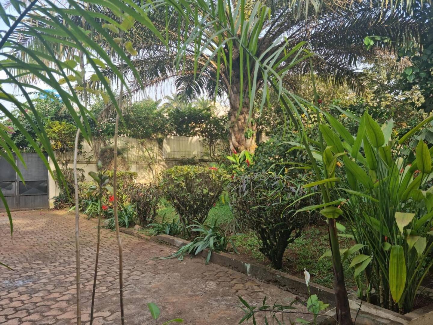 Tout Confort Avec Jardin Entree Bastos Яунде Экстерьер фото