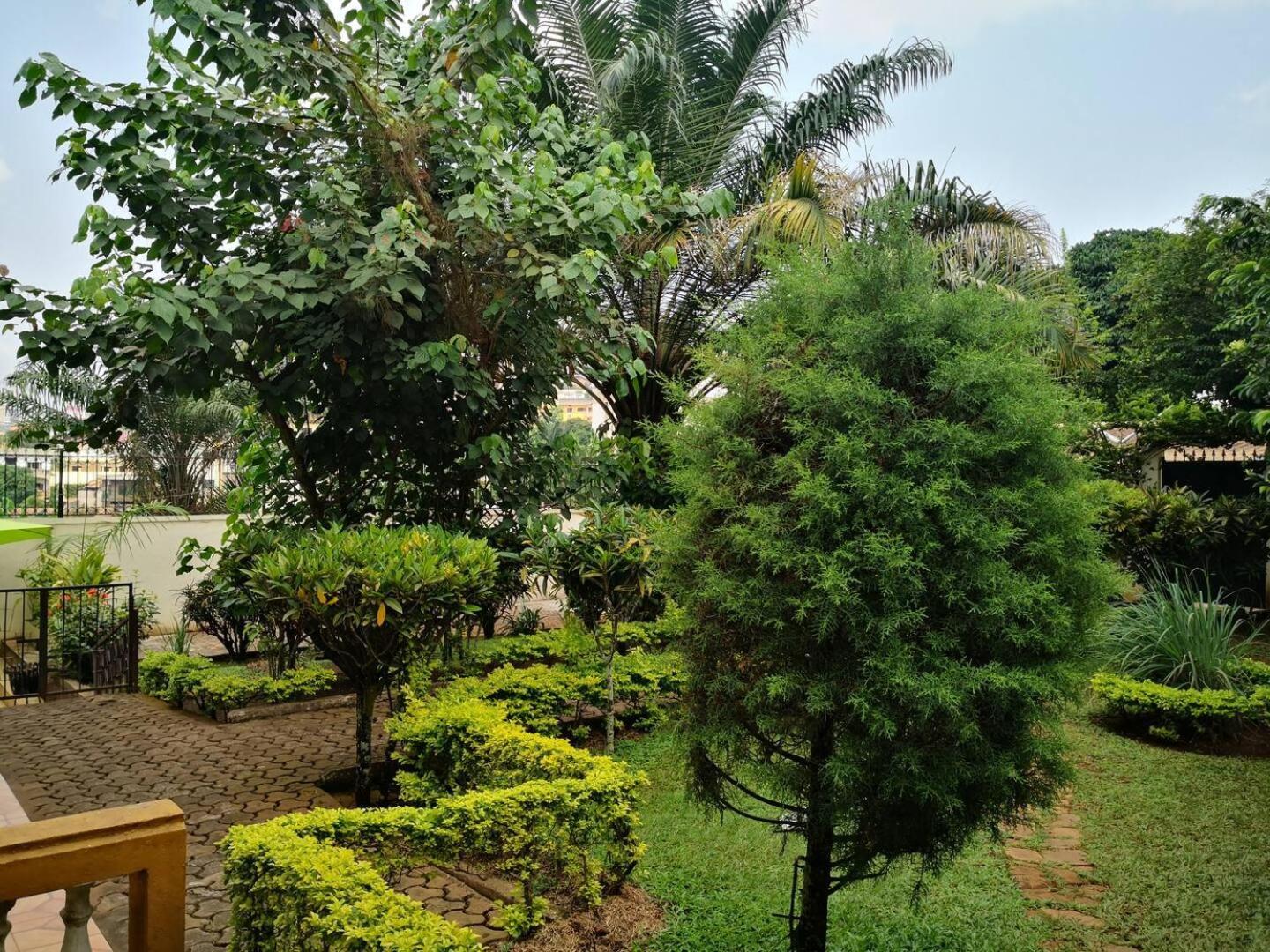 Tout Confort Avec Jardin Entree Bastos Яунде Экстерьер фото